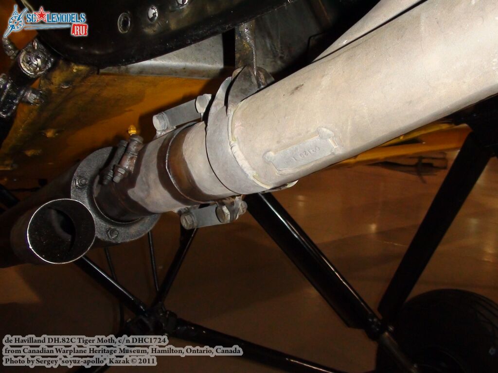 tiger_moth_0096.jpg