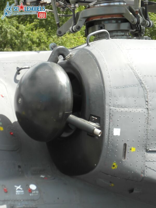 71-SAM_3354.JPG