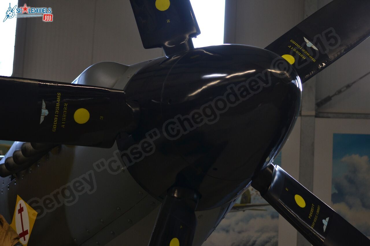 Spitfire_MkXIV_0002.jpg