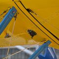 Boeing_PT-17_0013.jpg