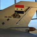 Ha-300_0015.jpg