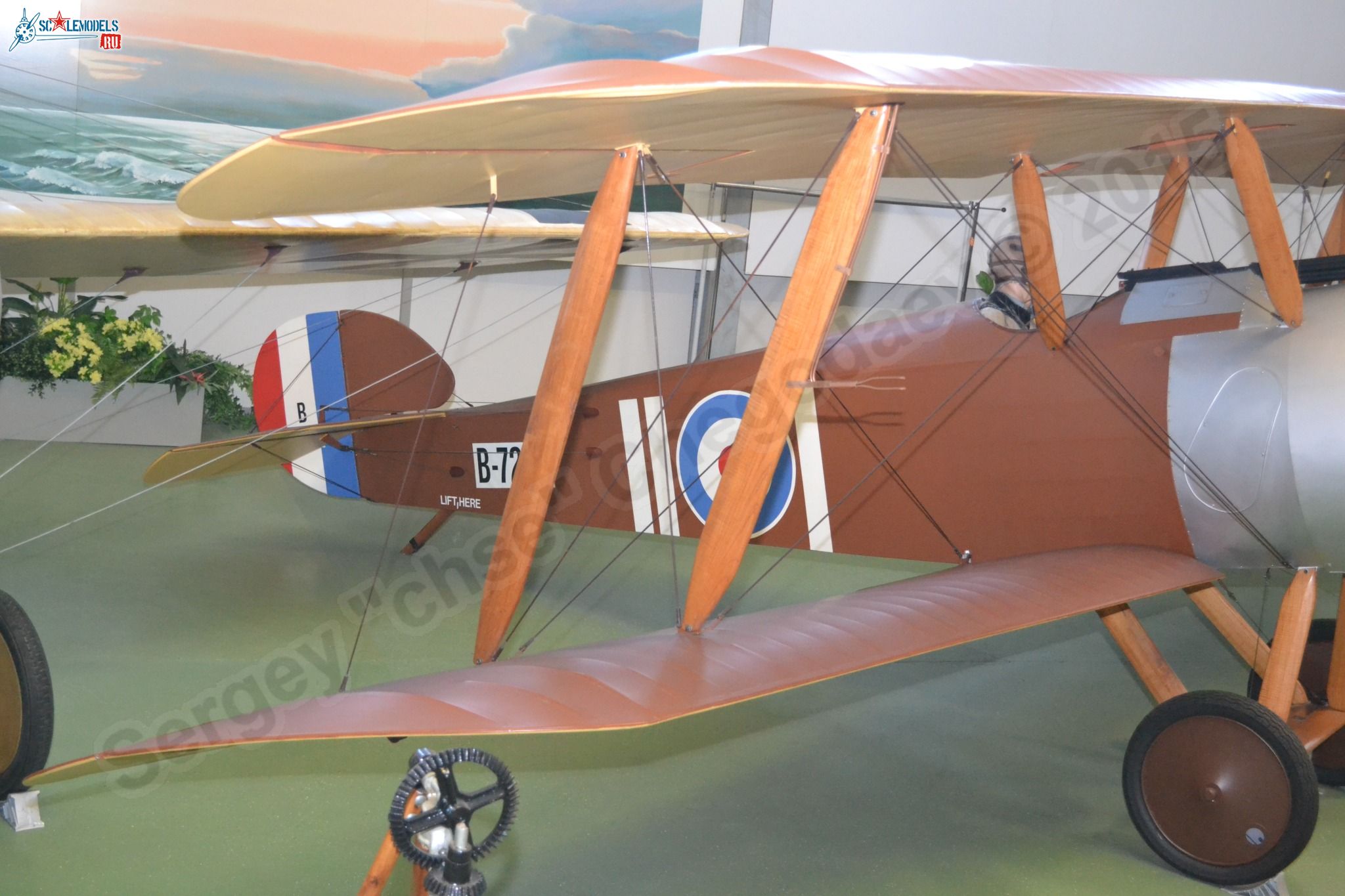 Sopwith_F1_Camel_0002.jpg