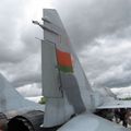 071_MiG-29_17.jpg