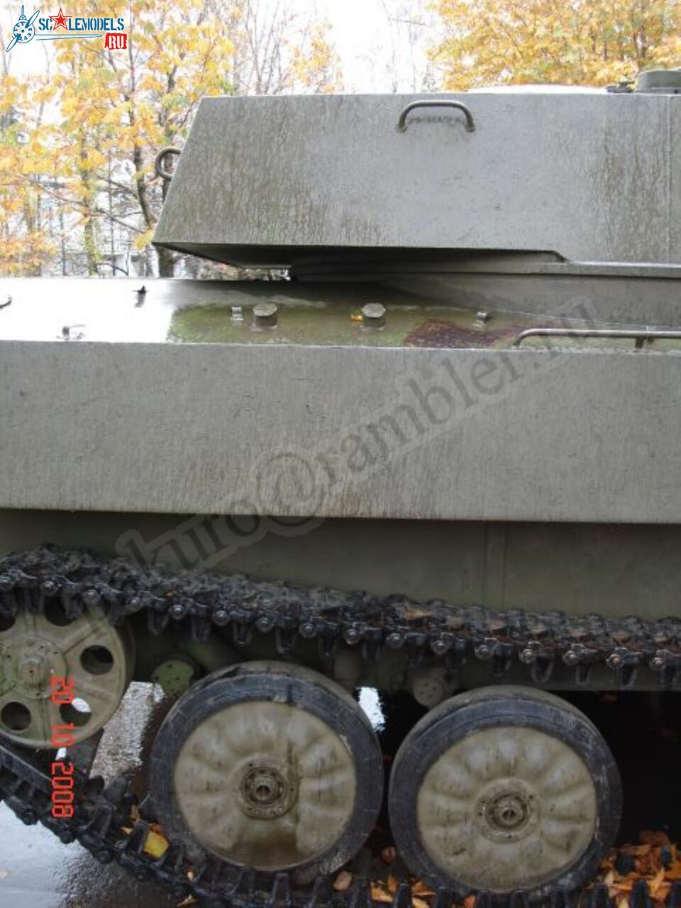 41.jpg