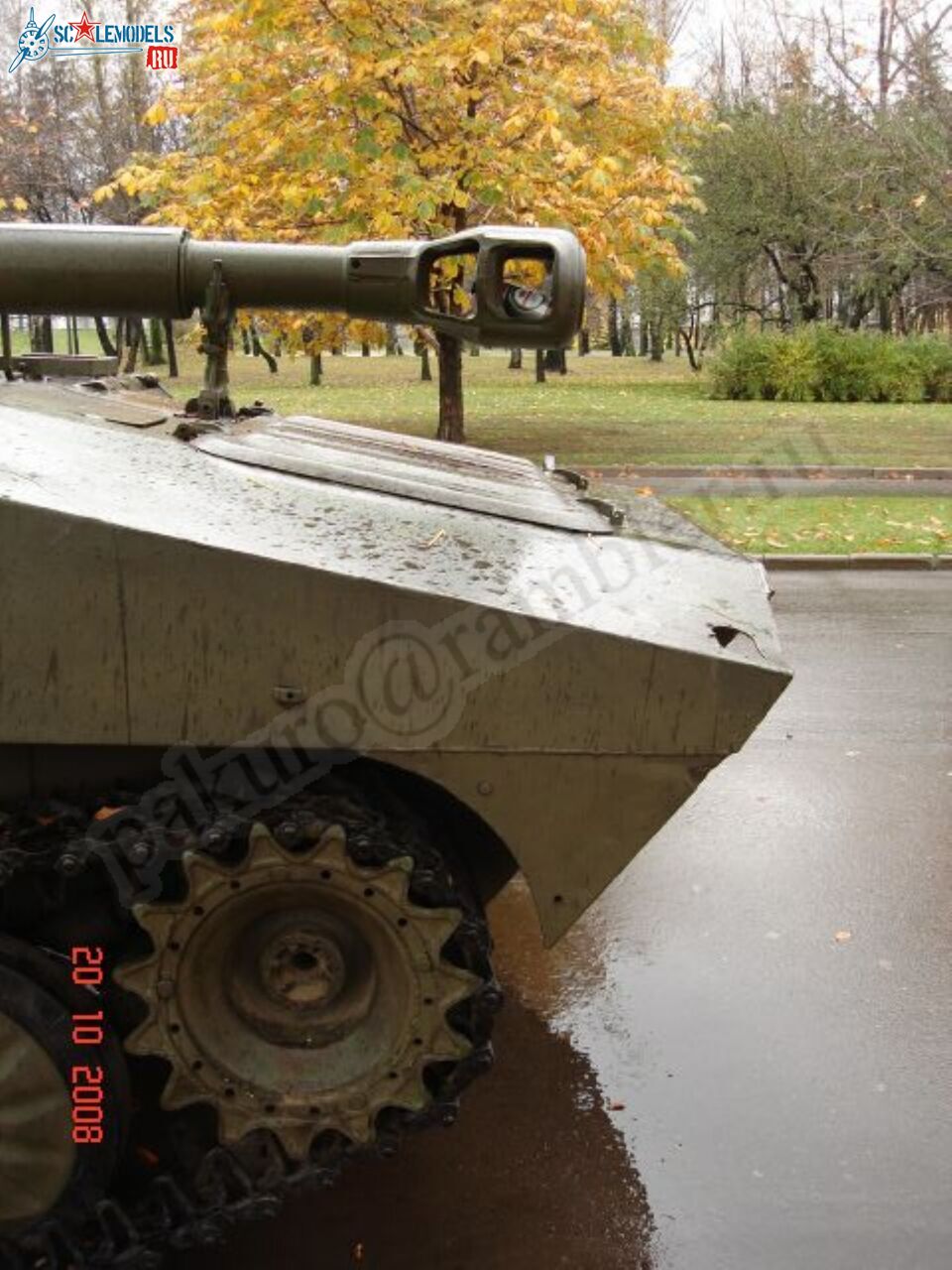 47.jpg