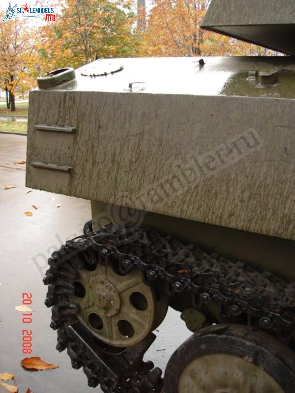 53.jpg