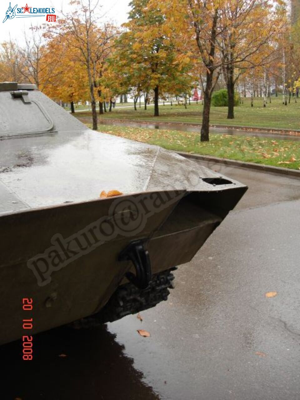 62.jpg