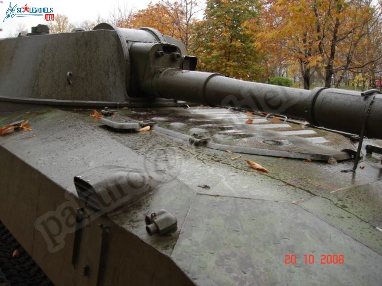 71.jpg