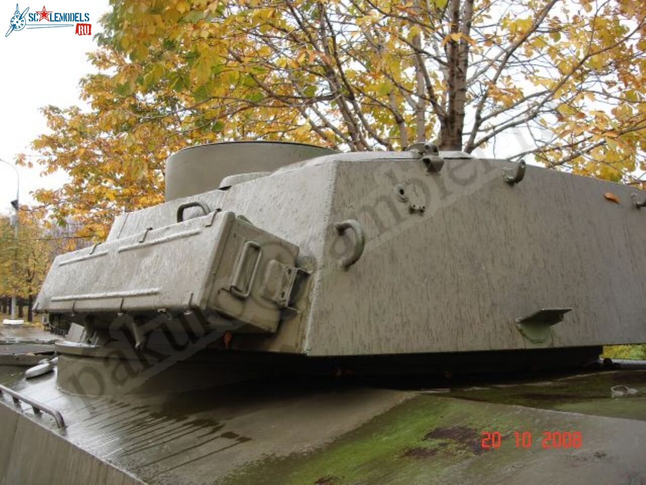 83.jpg