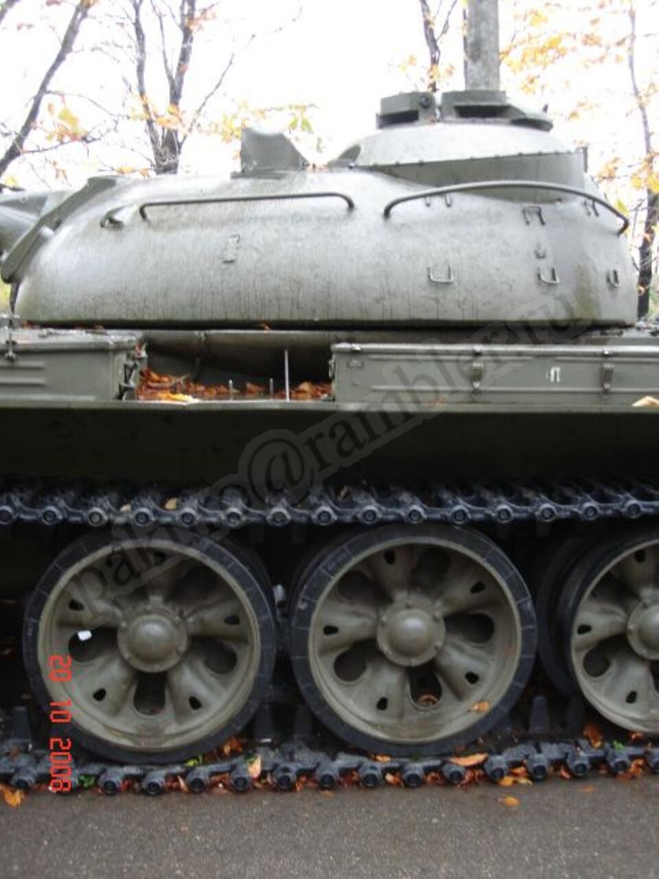 19.jpg