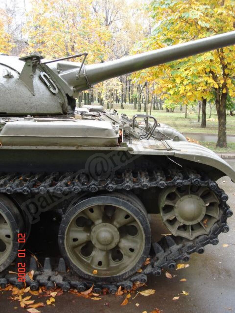 53.jpg