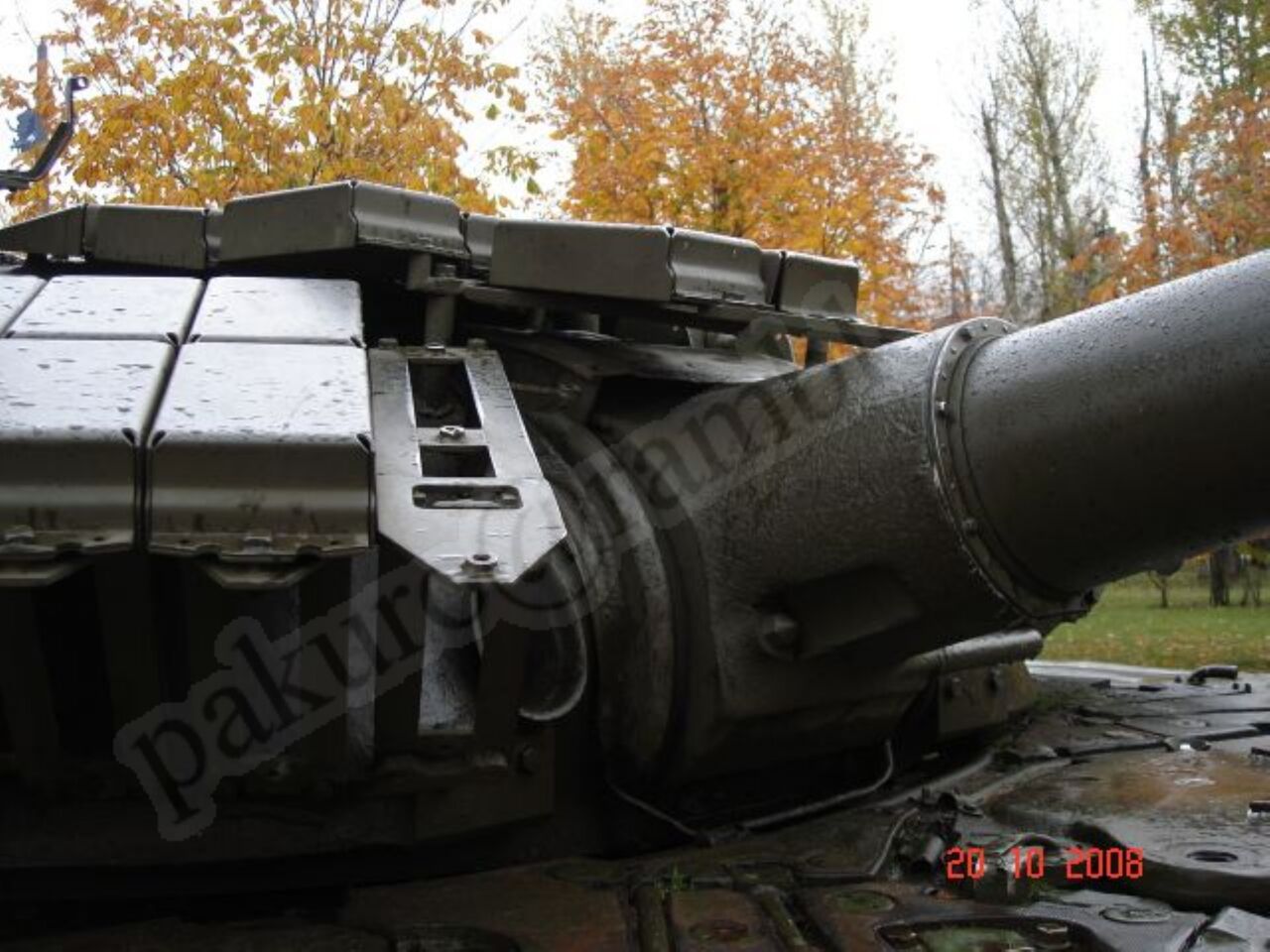 118.jpg