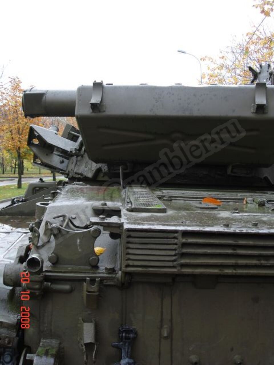 46.jpg