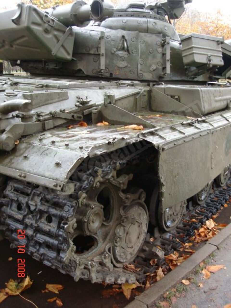 79.jpg