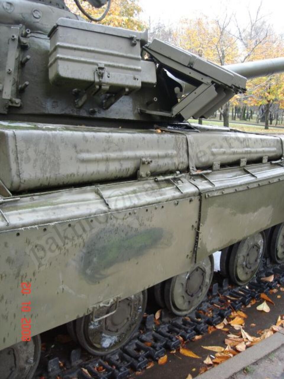 81.jpg