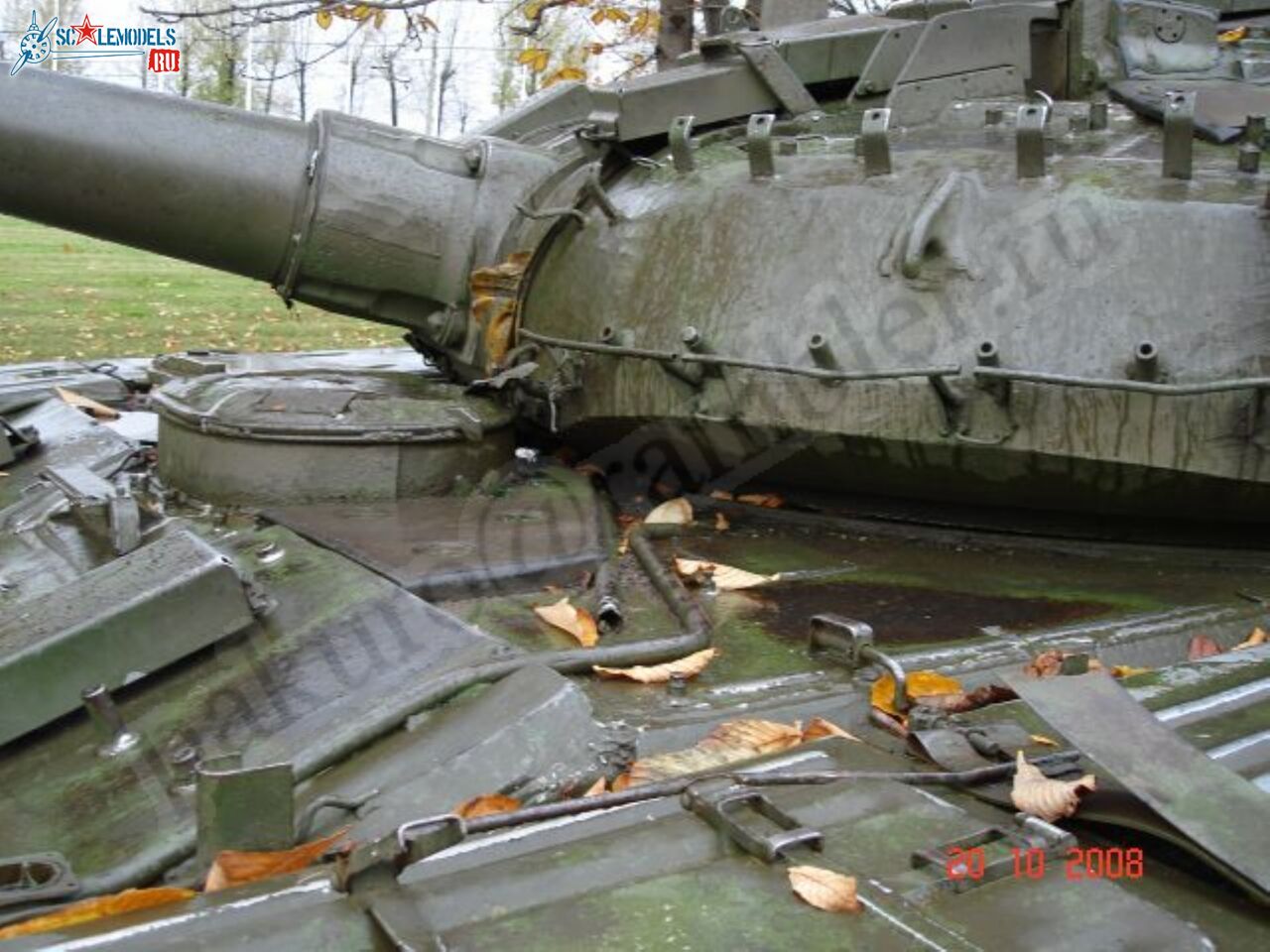 125.jpg