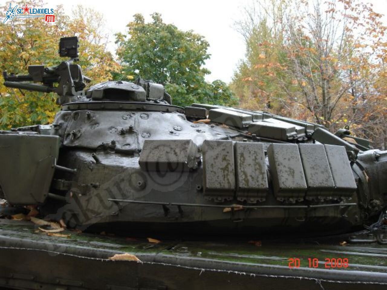 96.jpg