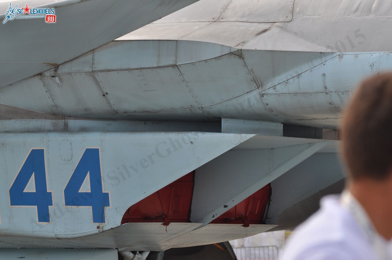 MiG_1.44_ATF_Flatpack_279.jpg