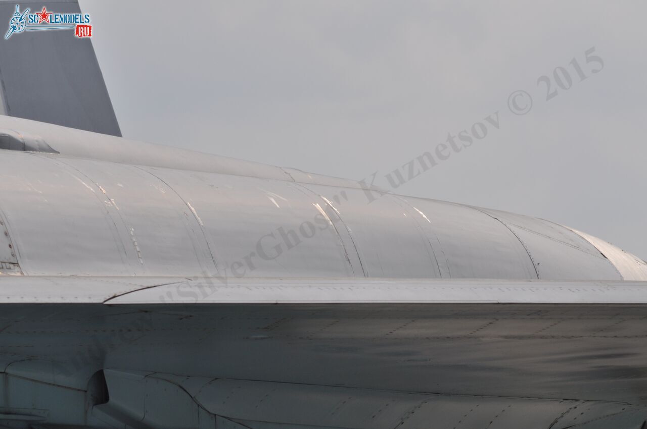 MiG_1.44_ATF_Flatpack_87.jpg