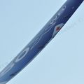 Airbus_A350XWB_F-WXWB_179.jpg