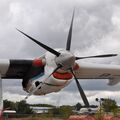 Harbin_Y12F_B-00AQ_29.jpg