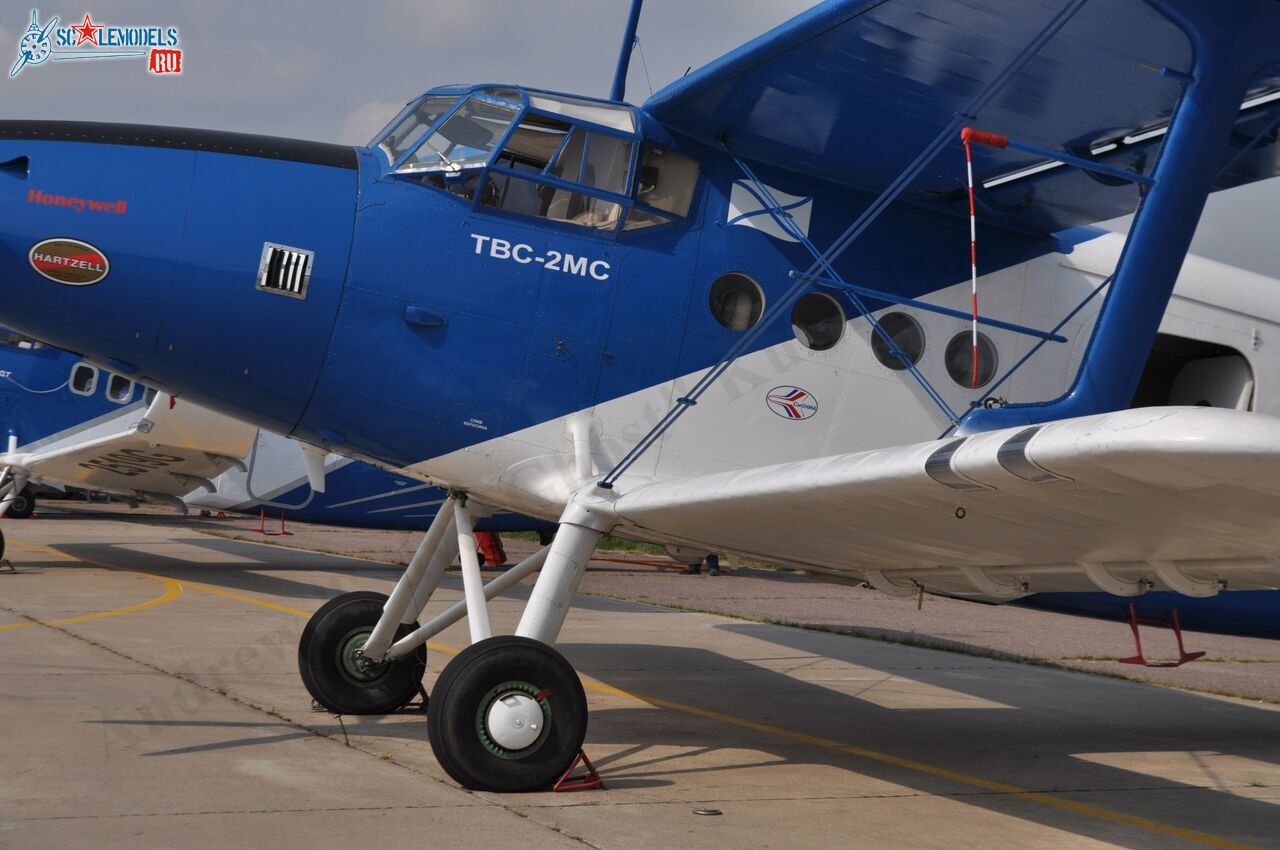 TVS-2MS_RA-2099G_101.jpg