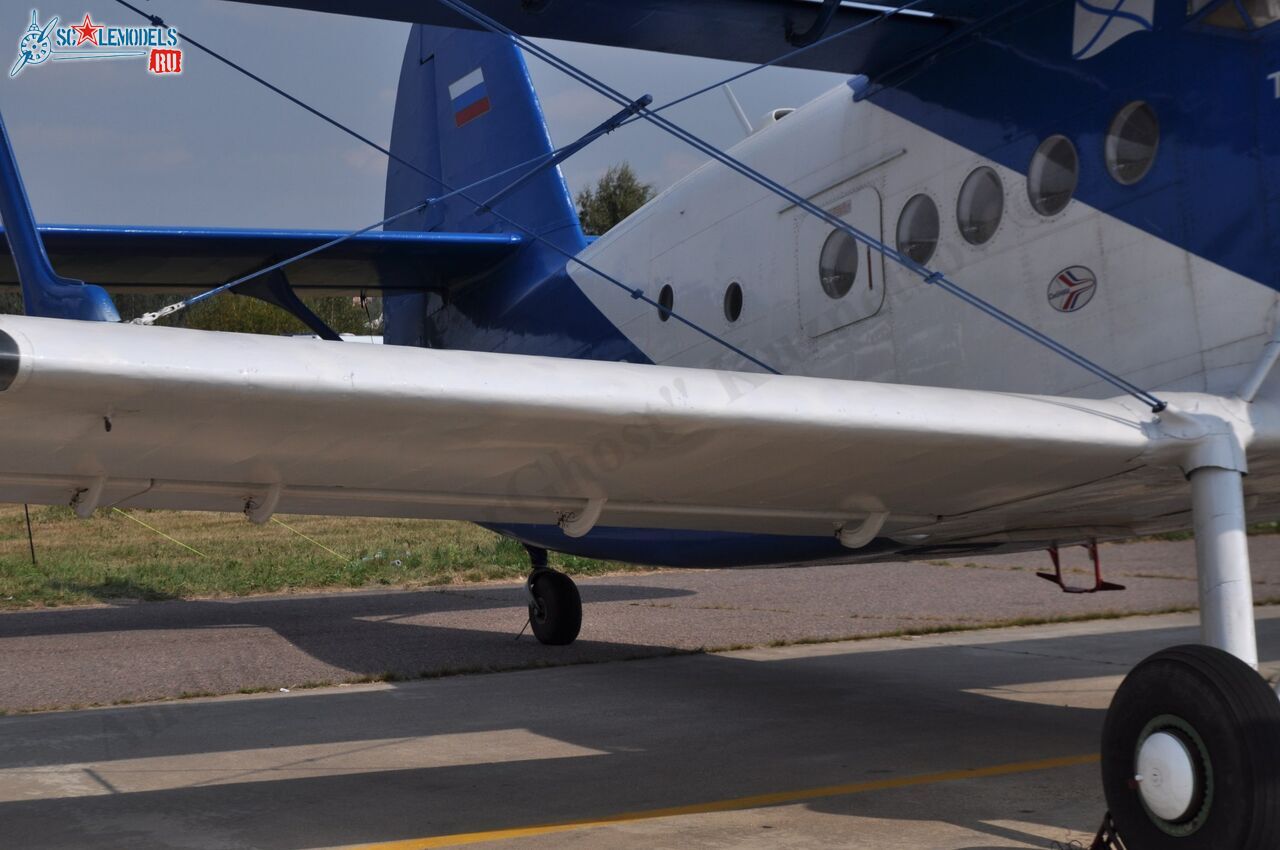 TVS-2MS_RA-2099G_77.jpg