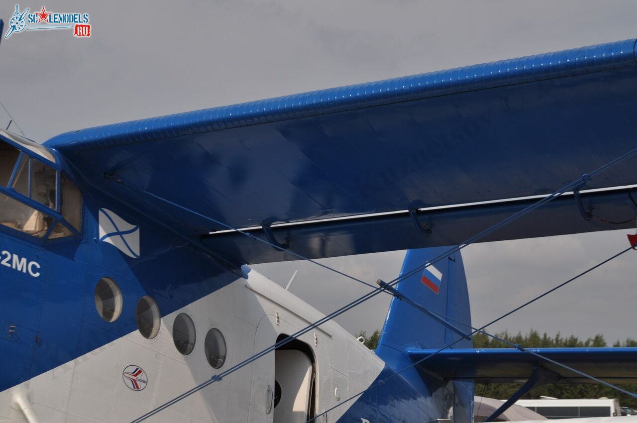 TVS-2MS_RA-2099G_95.jpg