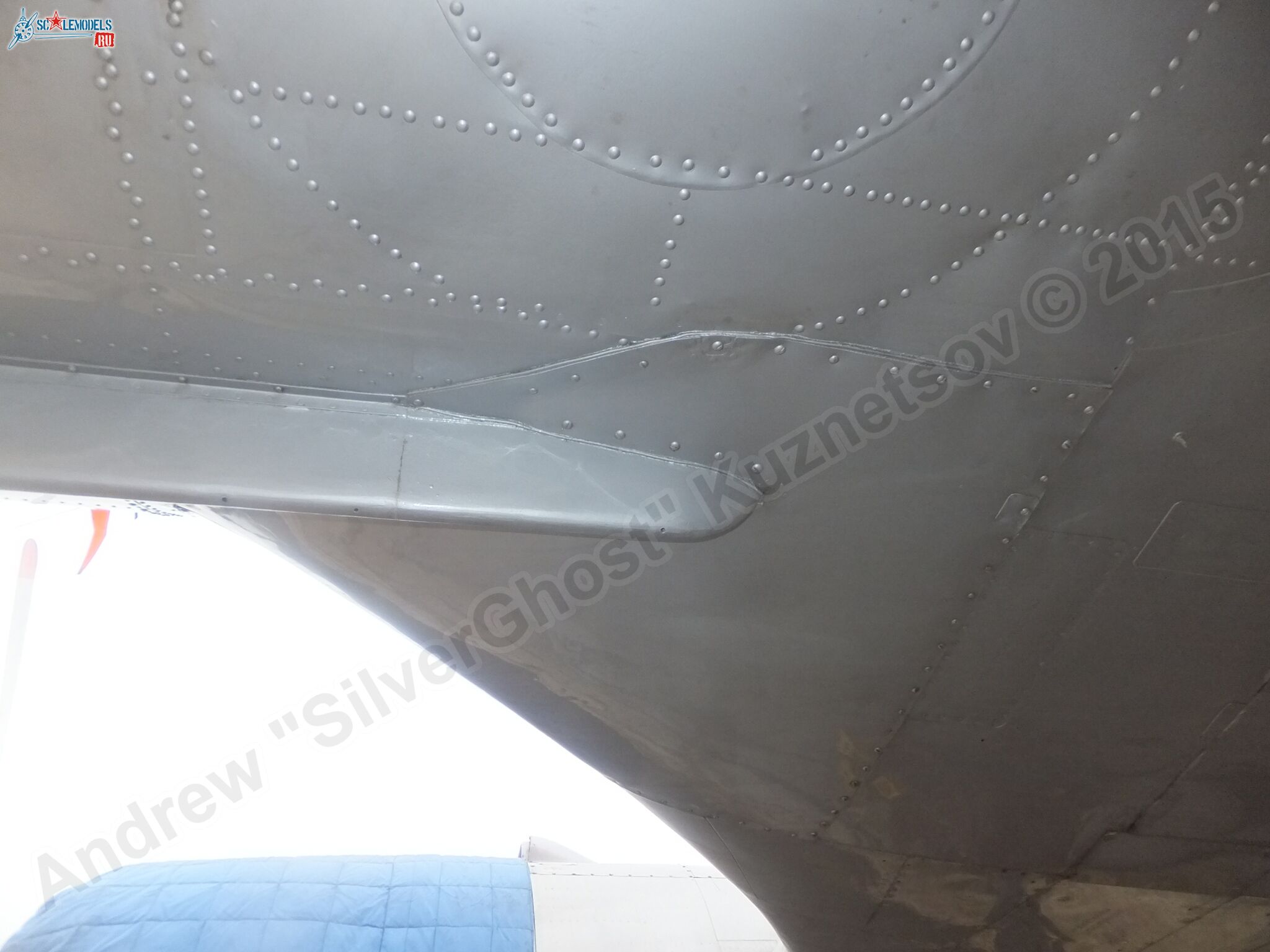 Il-14T_0119.jpg
