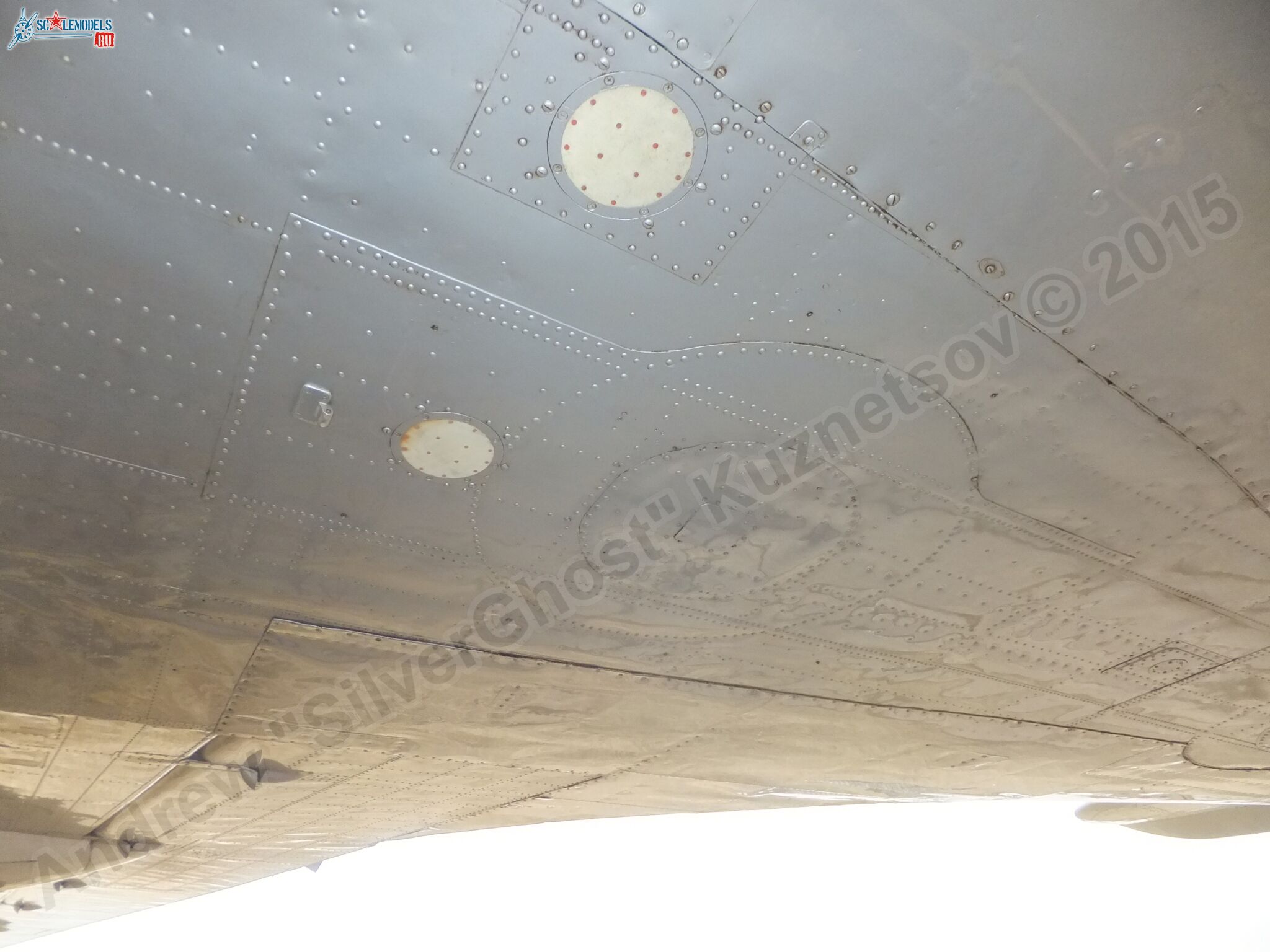 Il-14T_0137.jpg