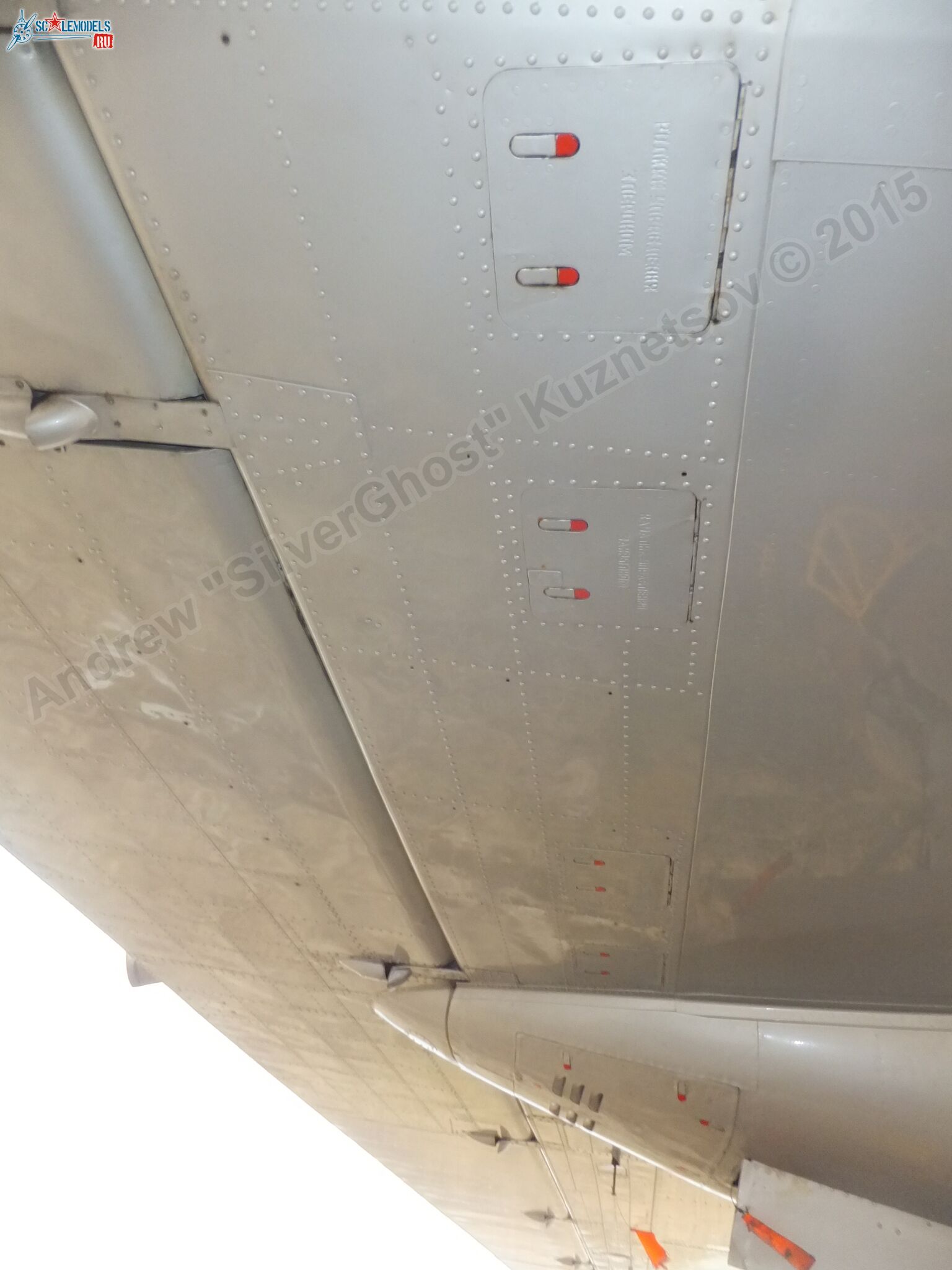 Il-14T_0141.jpg