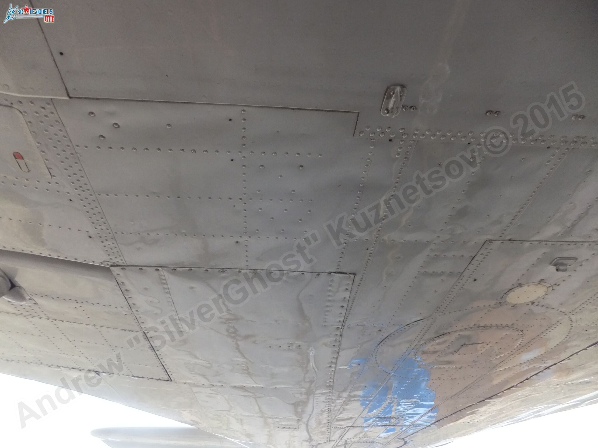 Il-14T_0148.jpg