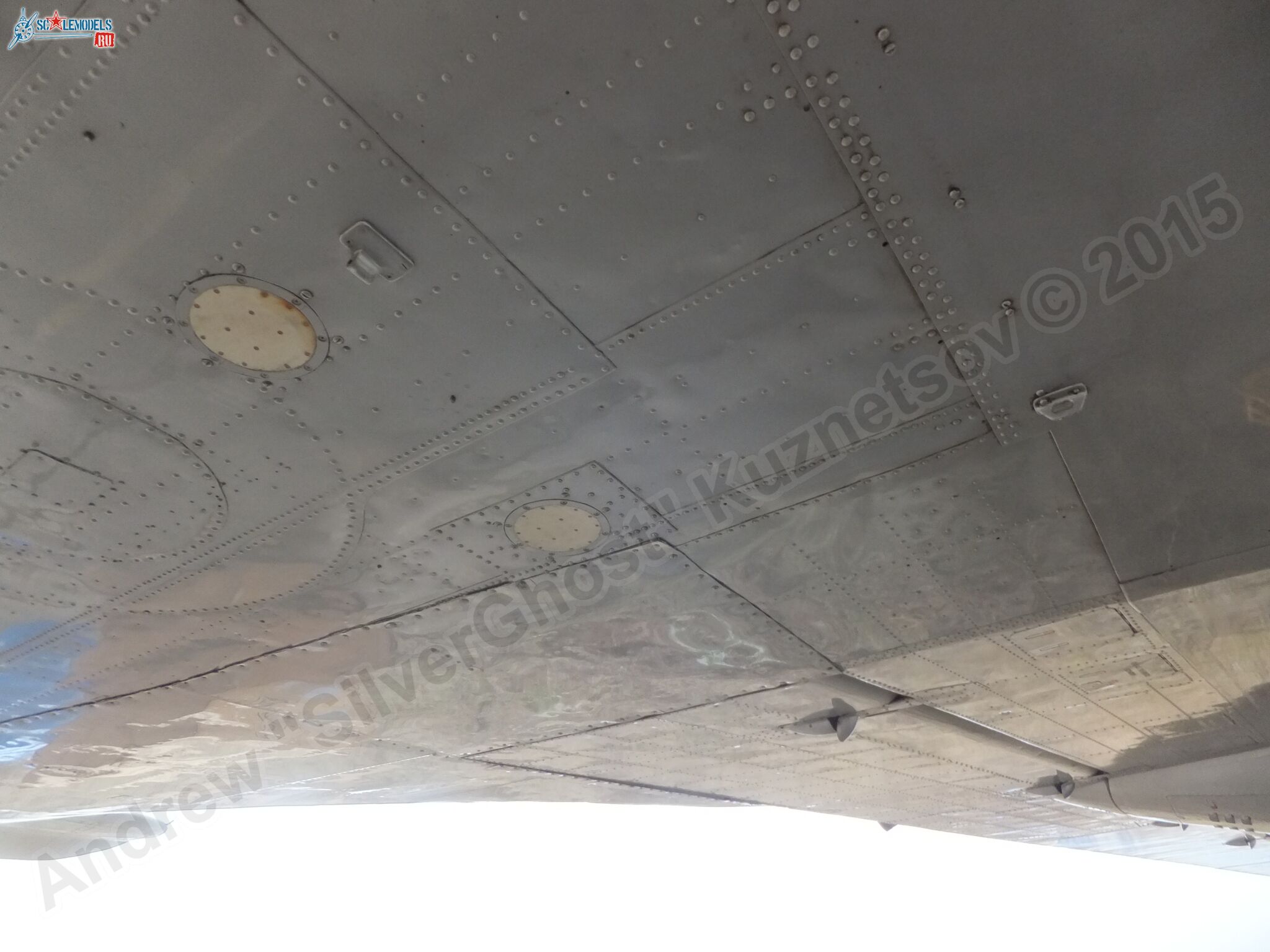 Il-14T_0150.jpg