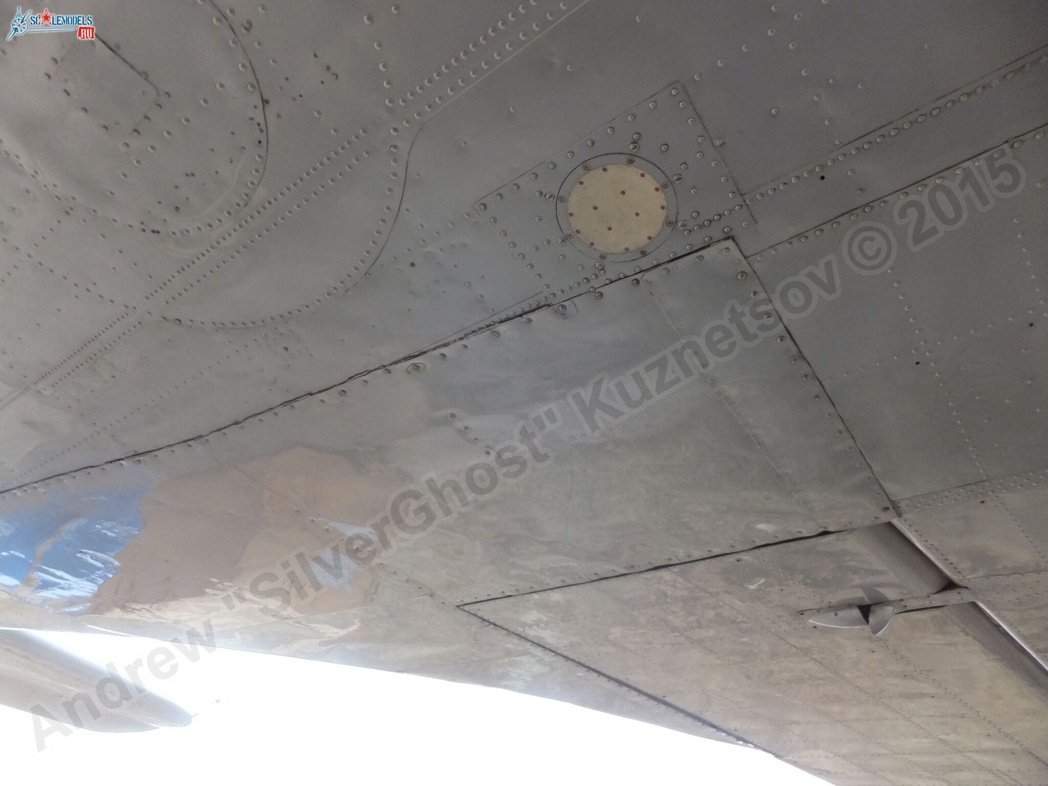 Il-14T_0155.jpg