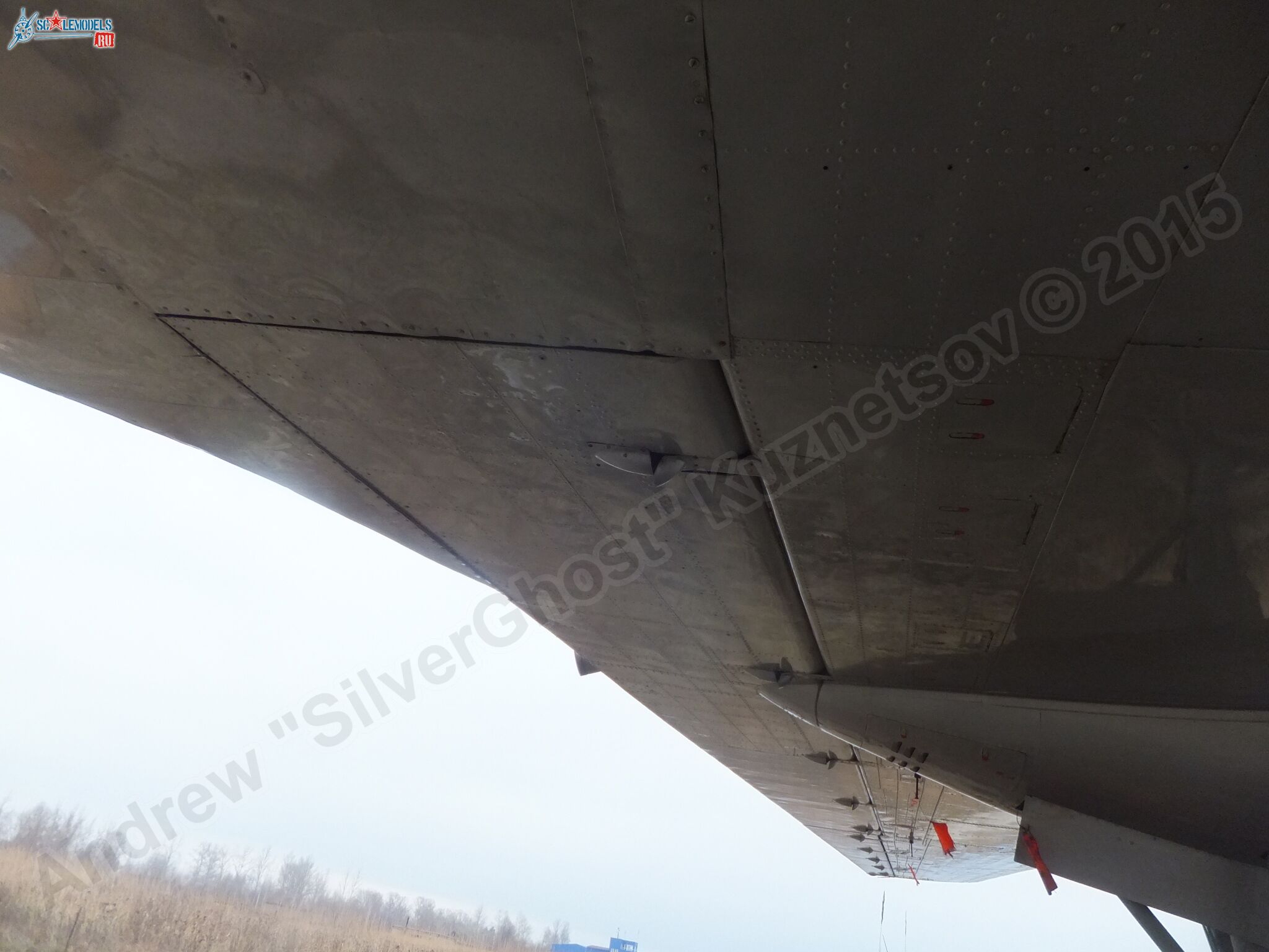 Il-14T_0156.jpg
