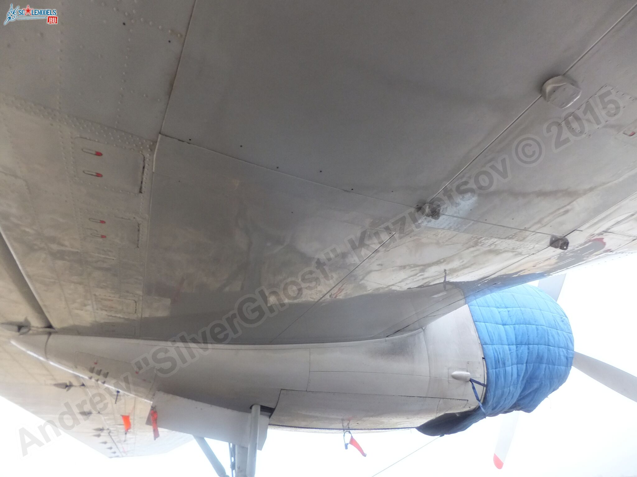 Il-14T_0158.jpg