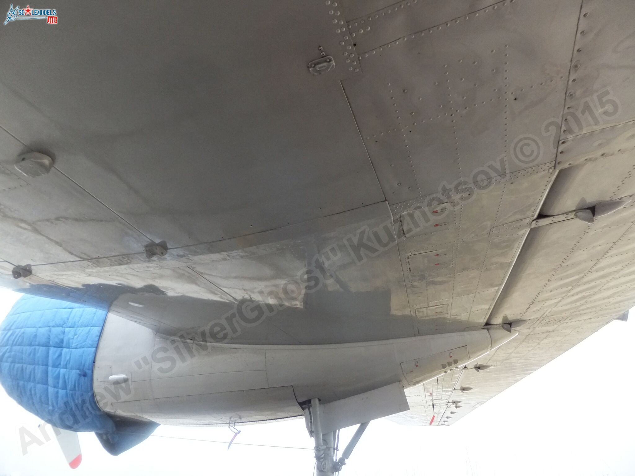 Il-14T_0160.jpg