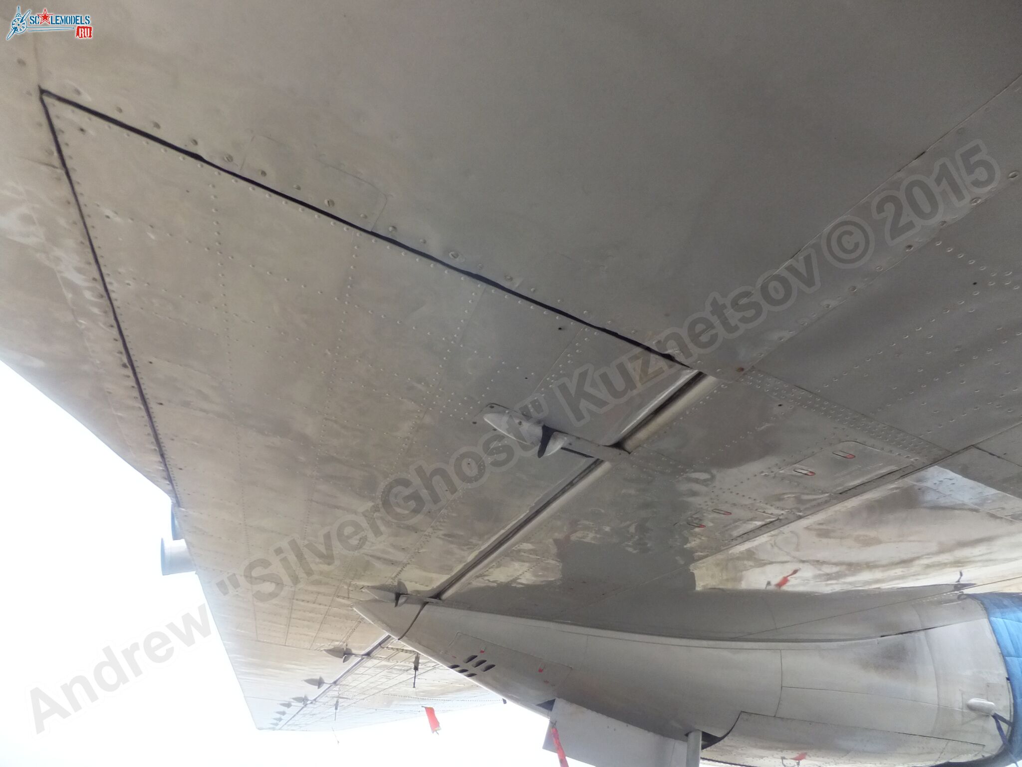Il-14T_0163.jpg