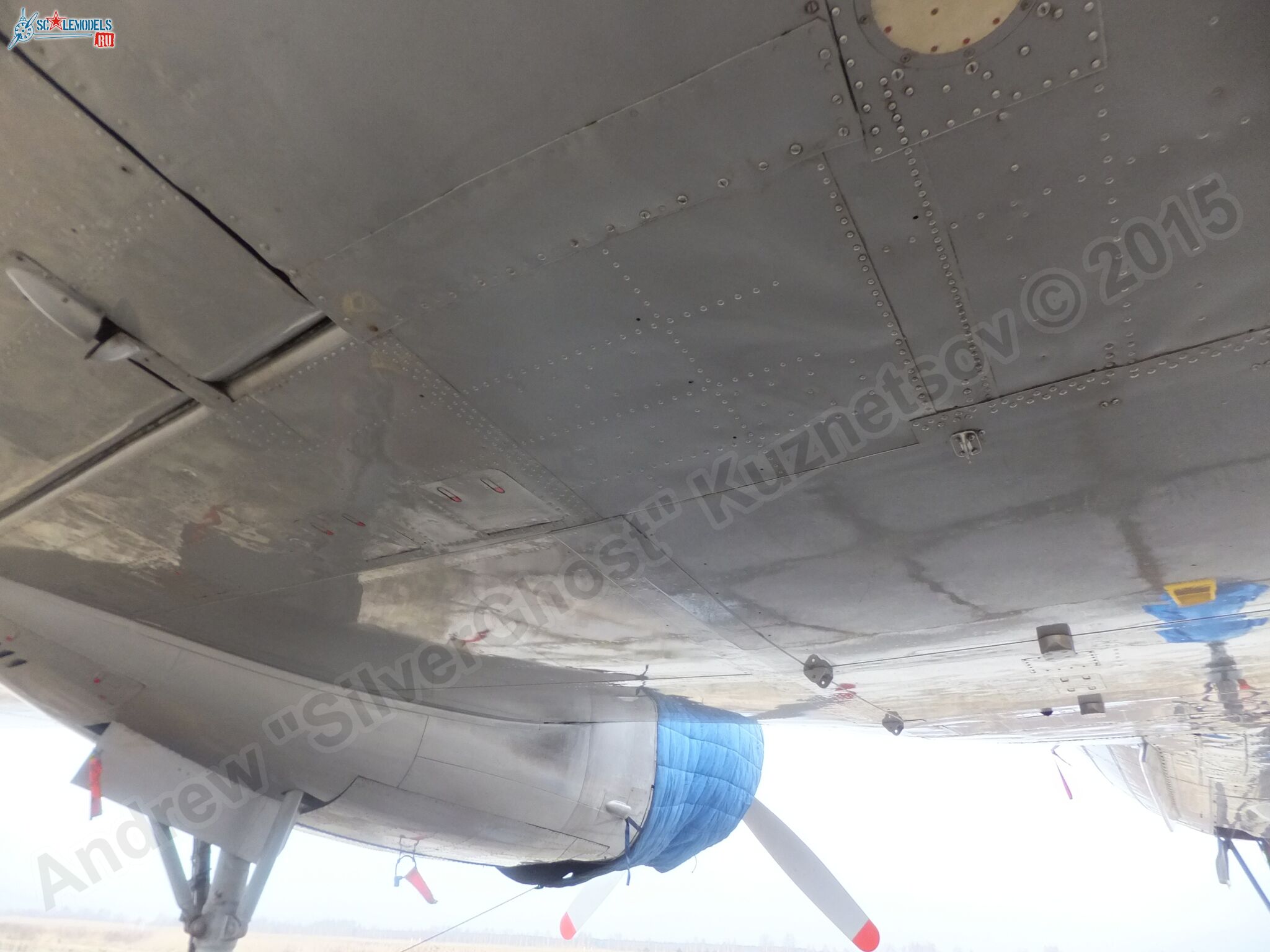 Il-14T_0164.jpg