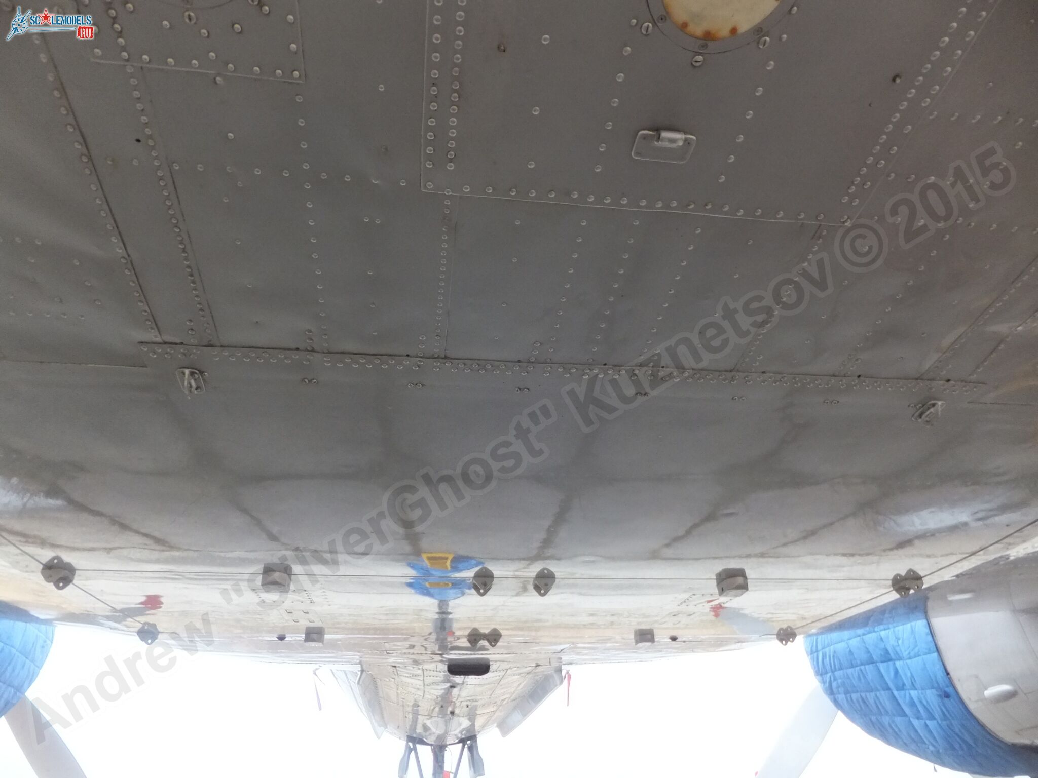 Il-14T_0165.jpg
