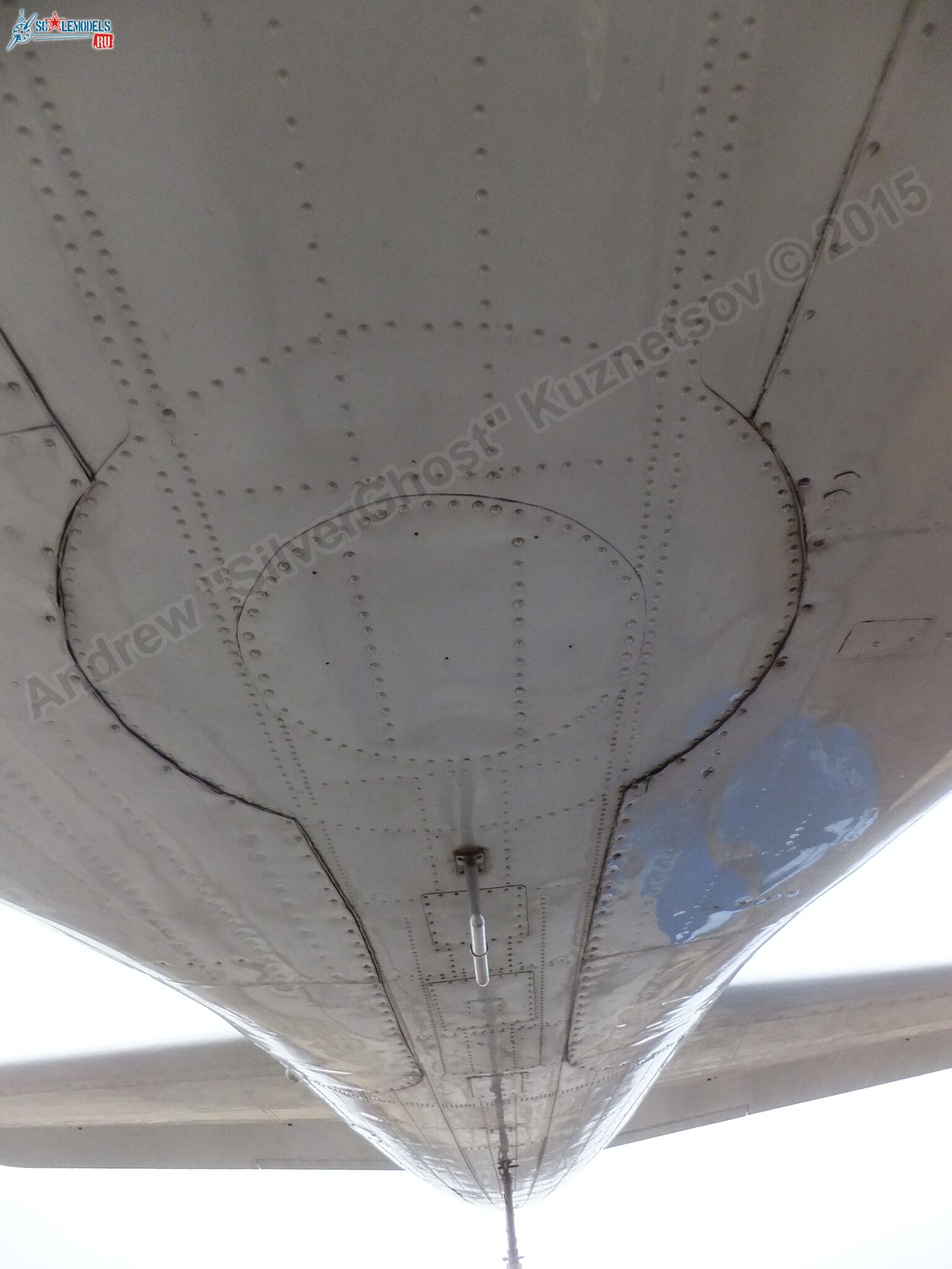 Il-14T_0166.jpg