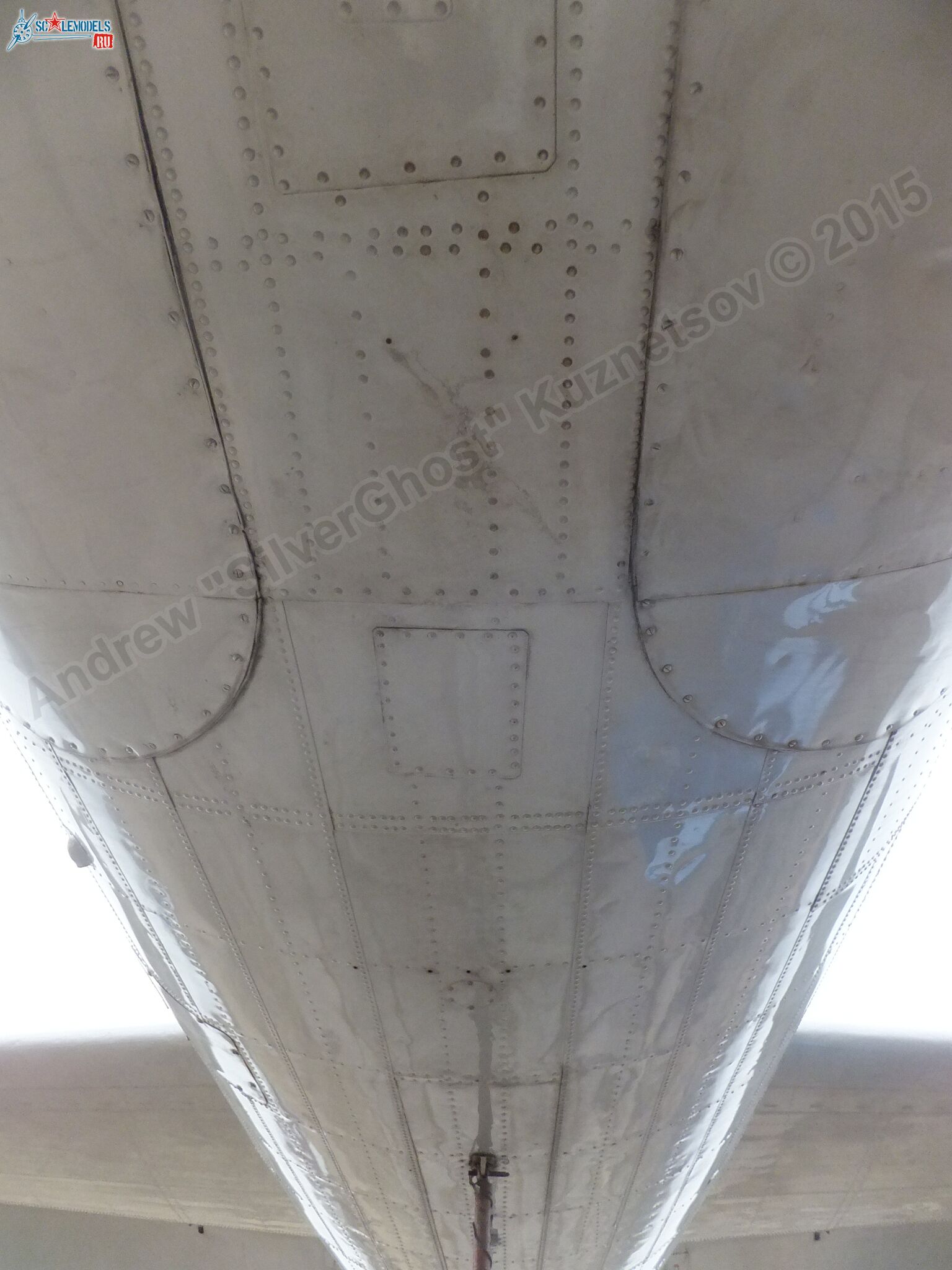 Il-14T_0177.jpg