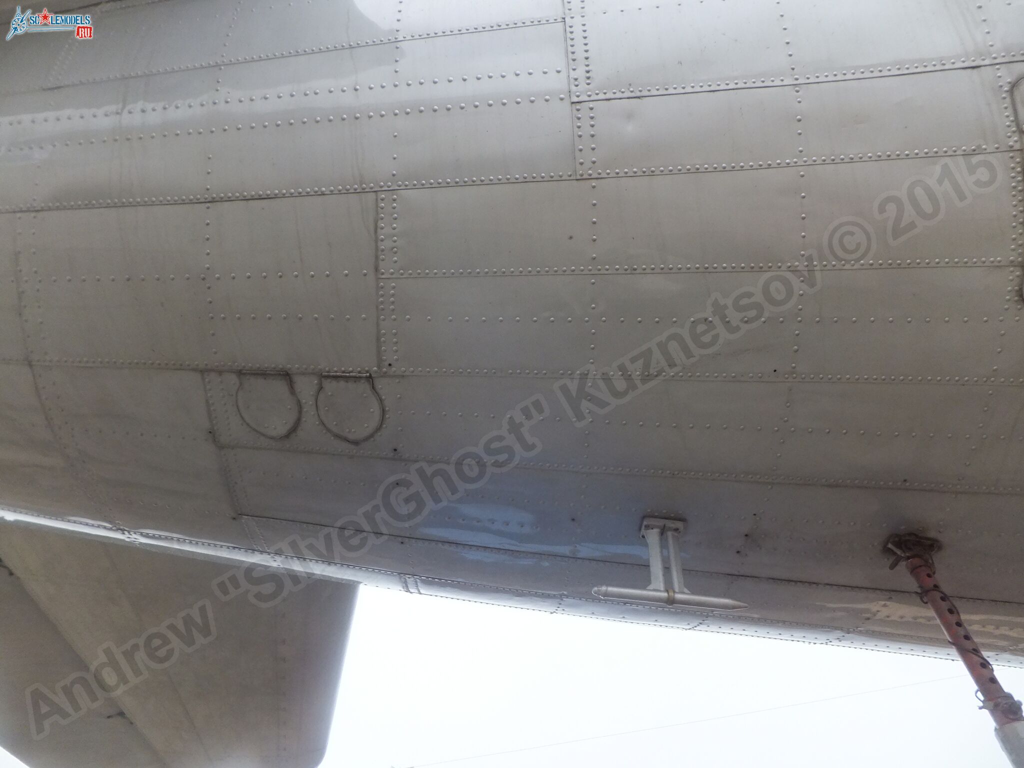 Il-14T_0181.jpg