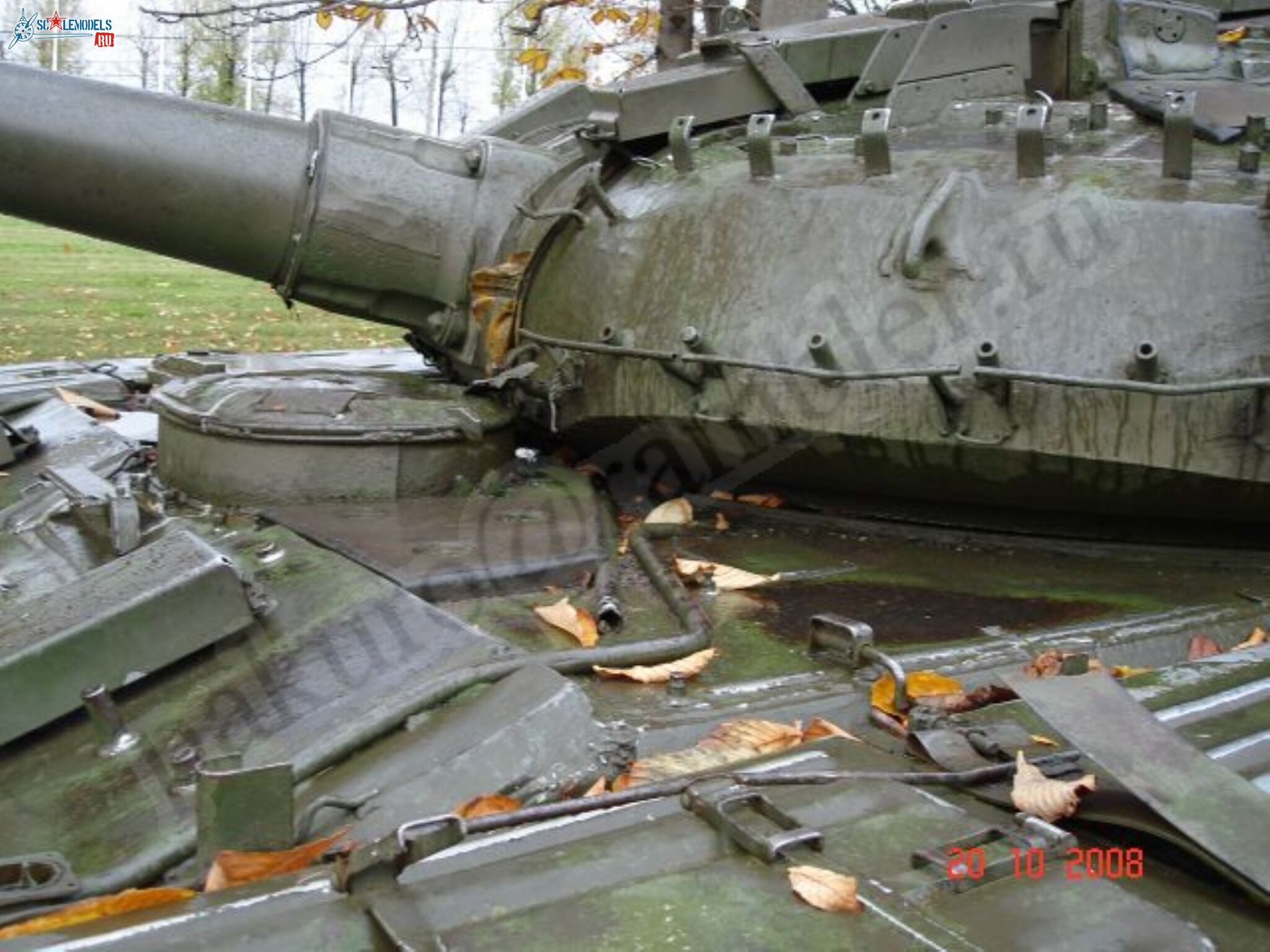 125.jpg