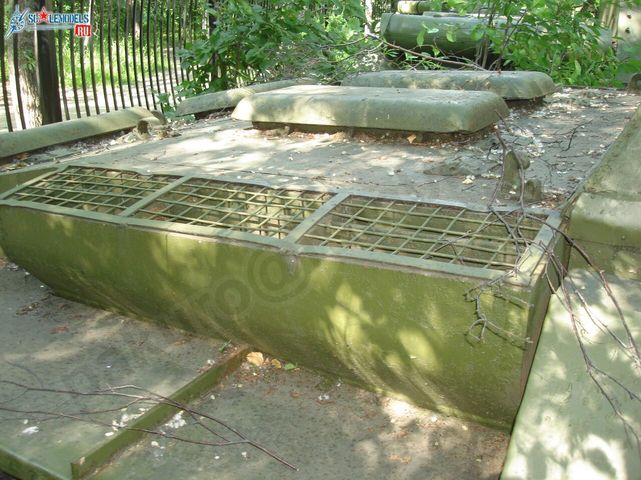 78.jpg
