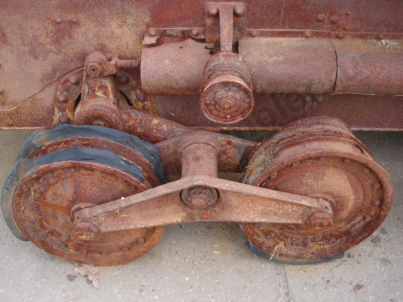 55.jpg