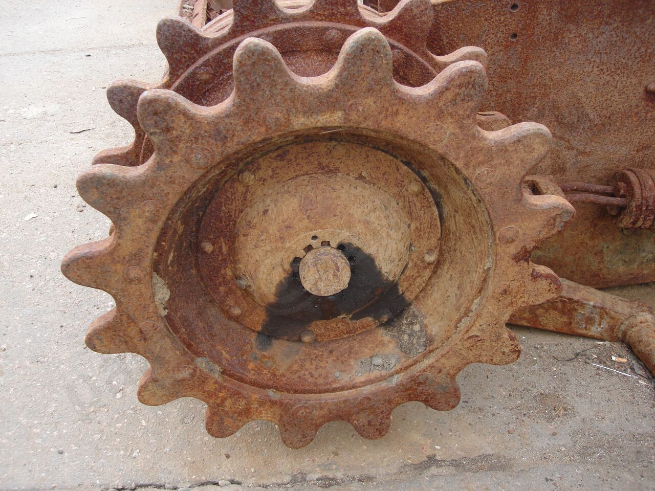 15.jpg