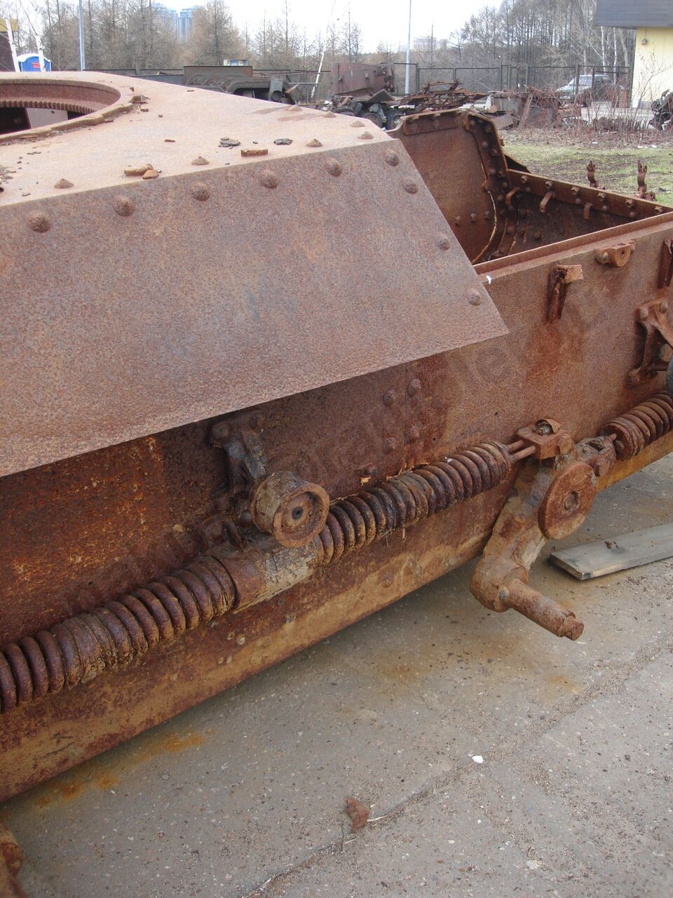 19.jpg