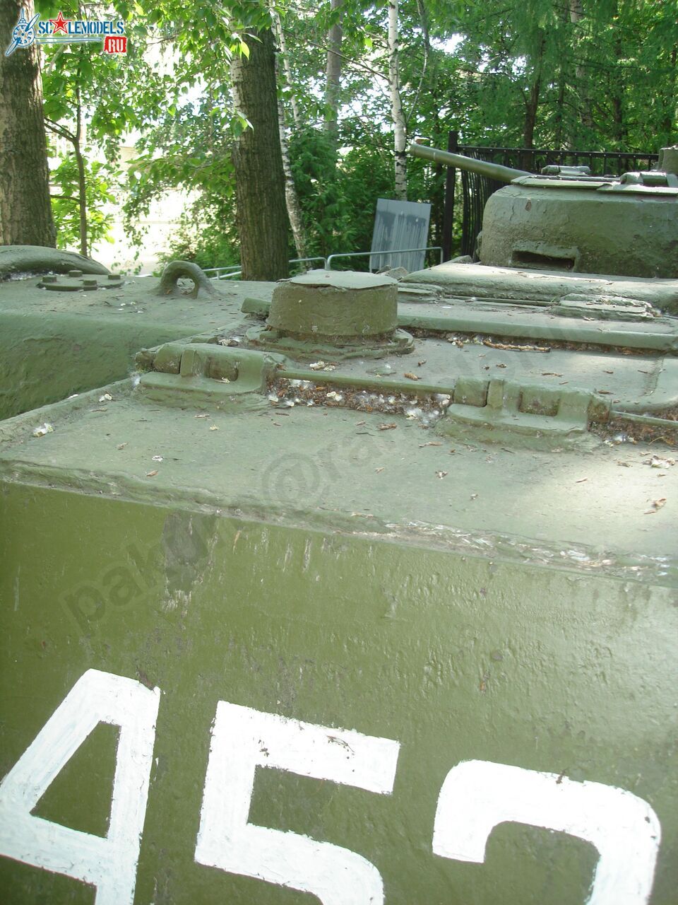 44.jpg