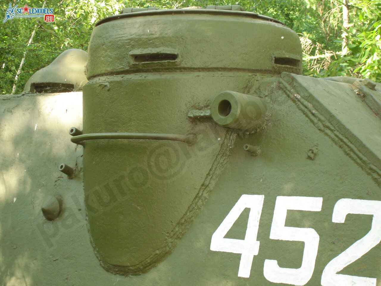 50.jpg